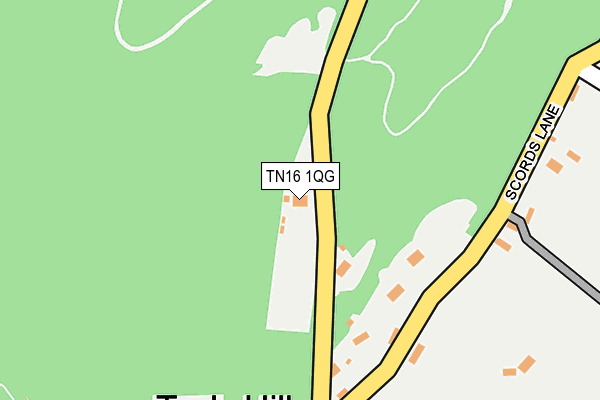 TN16 1QG map - OS OpenMap – Local (Ordnance Survey)