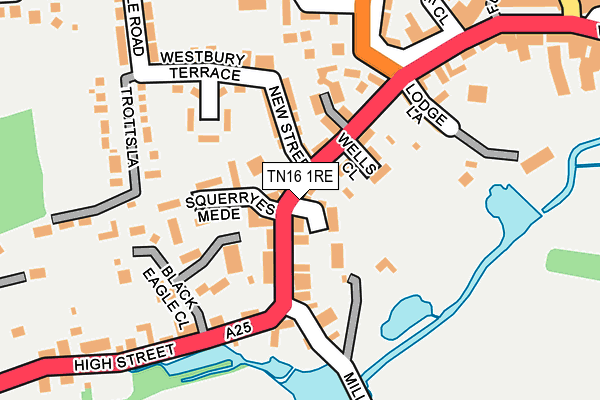 TN16 1RE map - OS OpenMap – Local (Ordnance Survey)