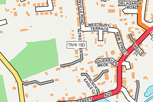 TN16 1SD map - OS OpenMap – Local (Ordnance Survey)
