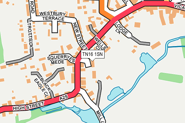TN16 1SN map - OS OpenMap – Local (Ordnance Survey)