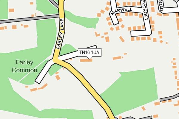 TN16 1UA map - OS OpenMap – Local (Ordnance Survey)
