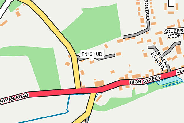 TN16 1UD map - OS OpenMap – Local (Ordnance Survey)