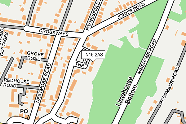 TN16 2AS map - OS OpenMap – Local (Ordnance Survey)