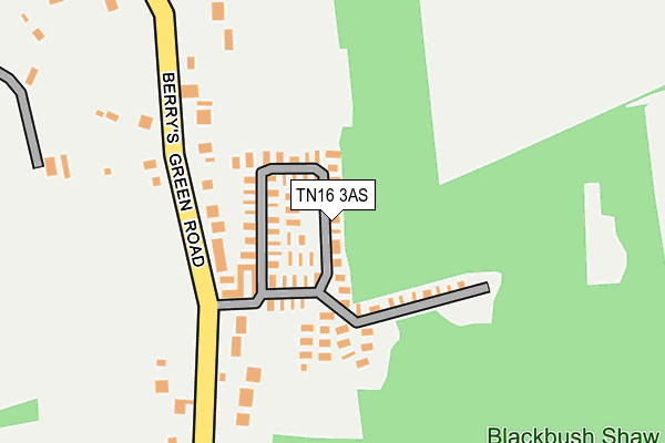 TN16 3AS map - OS OpenMap – Local (Ordnance Survey)