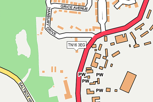 TN16 3EG map - OS OpenMap – Local (Ordnance Survey)