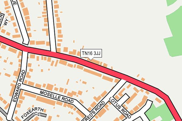 TN16 3JJ map - OS OpenMap – Local (Ordnance Survey)