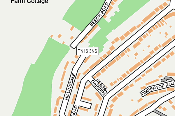 TN16 3NS map - OS OpenMap – Local (Ordnance Survey)
