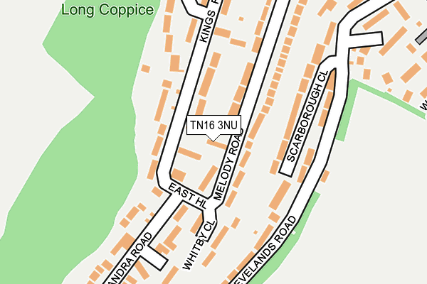 TN16 3NU map - OS OpenMap – Local (Ordnance Survey)