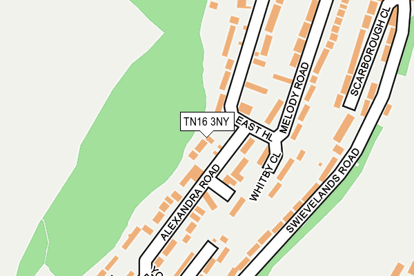 TN16 3NY map - OS OpenMap – Local (Ordnance Survey)