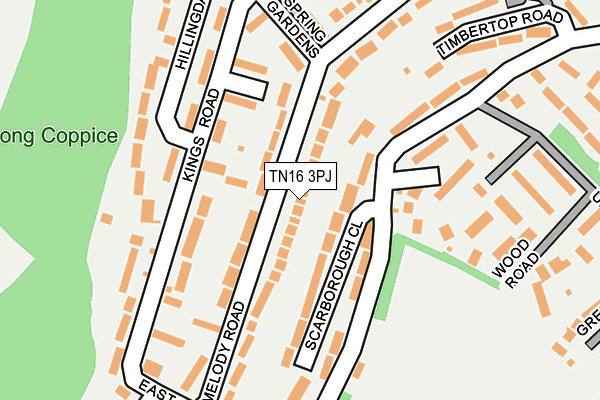 TN16 3PJ map - OS OpenMap – Local (Ordnance Survey)