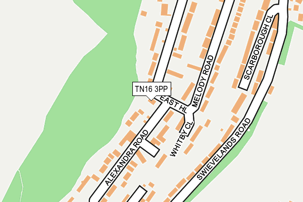 TN16 3PP map - OS OpenMap – Local (Ordnance Survey)