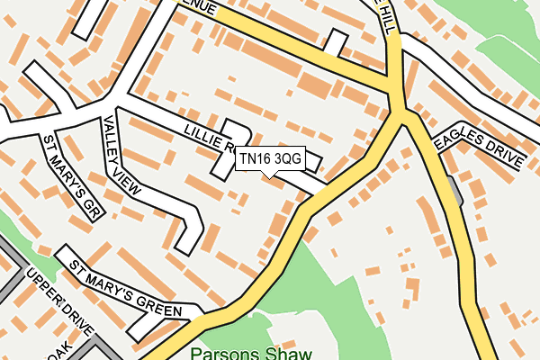 TN16 3QG map - OS OpenMap – Local (Ordnance Survey)