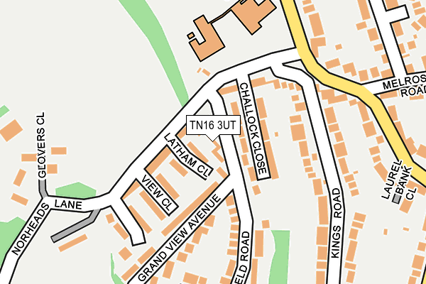 TN16 3UT map - OS OpenMap – Local (Ordnance Survey)
