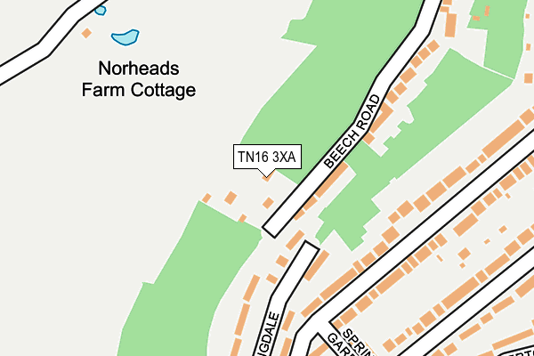 TN16 3XA map - OS OpenMap – Local (Ordnance Survey)