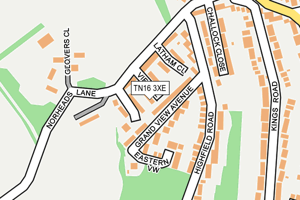 TN16 3XE map - OS OpenMap – Local (Ordnance Survey)