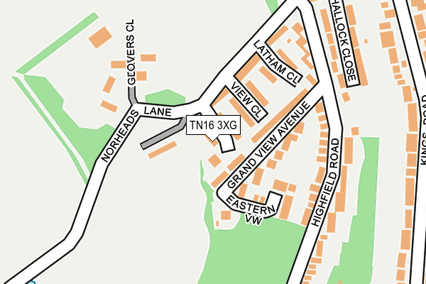 TN16 3XG map - OS OpenMap – Local (Ordnance Survey)