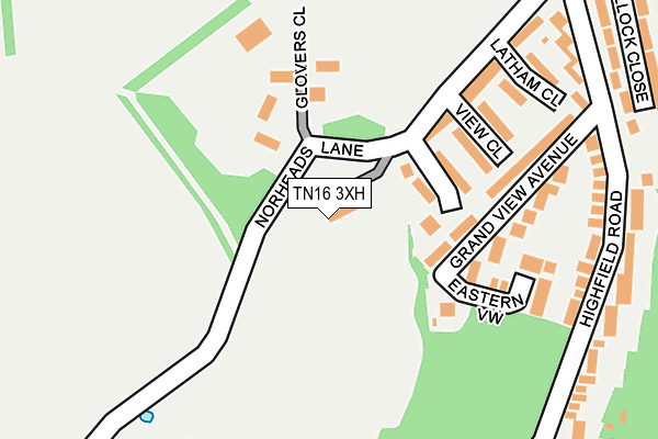 TN16 3XH map - OS OpenMap – Local (Ordnance Survey)