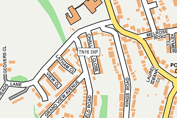 TN16 3XP map - OS OpenMap – Local (Ordnance Survey)