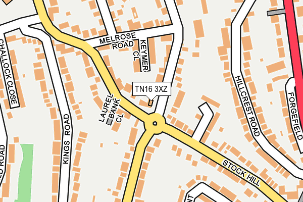TN16 3XZ map - OS OpenMap – Local (Ordnance Survey)