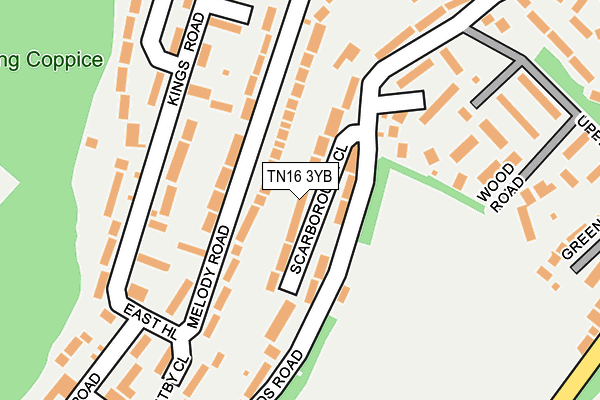 TN16 3YB map - OS OpenMap – Local (Ordnance Survey)