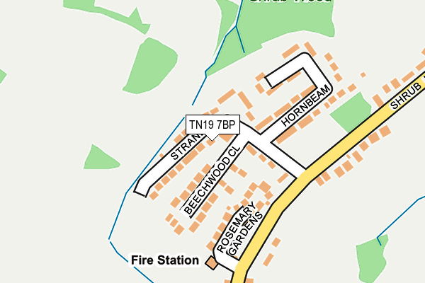TN19 7BP map - OS OpenMap – Local (Ordnance Survey)