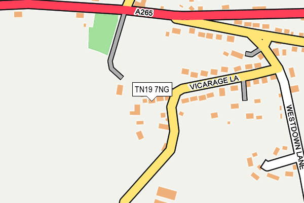 TN19 7NG map - OS OpenMap – Local (Ordnance Survey)