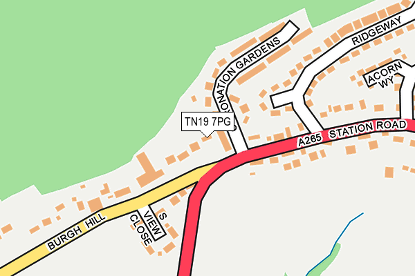 TN19 7PG map - OS OpenMap – Local (Ordnance Survey)