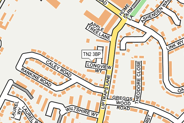 TN2 3BP map - OS OpenMap – Local (Ordnance Survey)