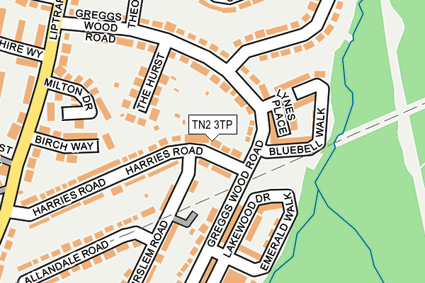 TN2 3TP map - OS OpenMap – Local (Ordnance Survey)