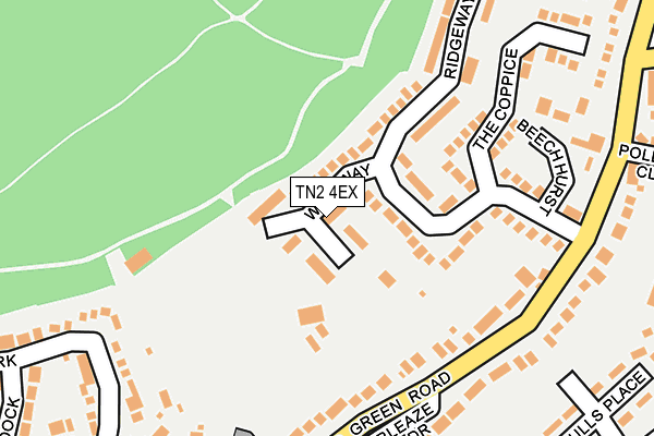 TN2 4EX map - OS OpenMap – Local (Ordnance Survey)