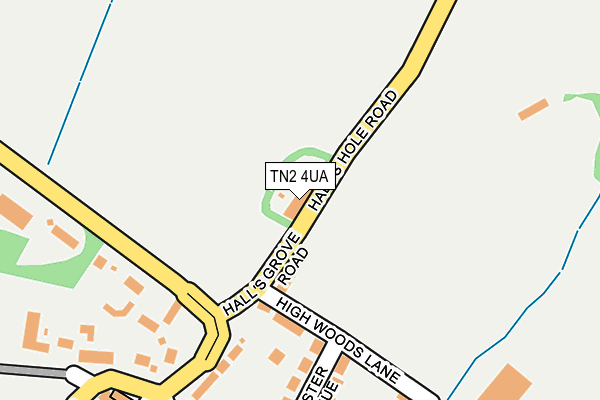 TN2 4UA map - OS OpenMap – Local (Ordnance Survey)
