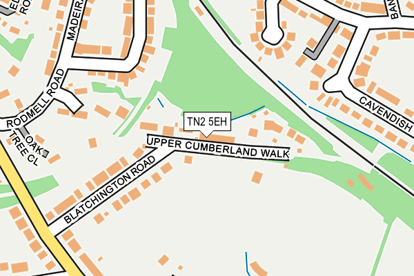 TN2 5EH map - OS OpenMap – Local (Ordnance Survey)