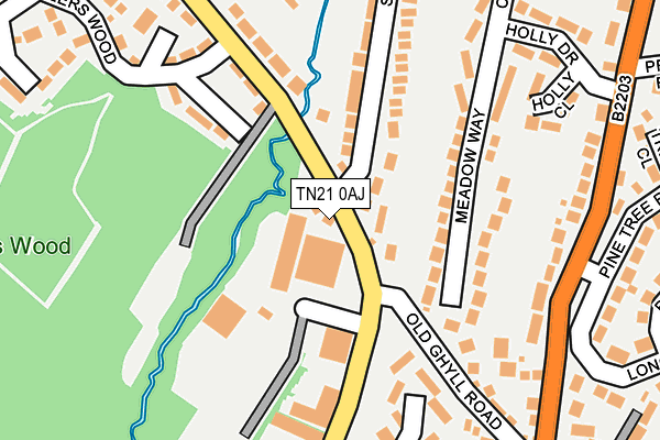 TN21 0AJ map - OS OpenMap – Local (Ordnance Survey)