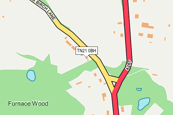TN21 0BH map - OS OpenMap – Local (Ordnance Survey)