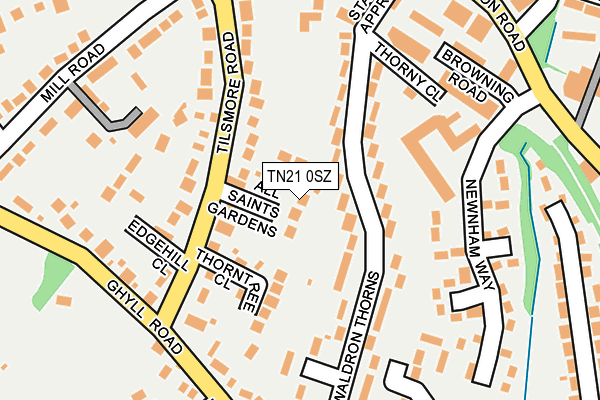 TN21 0SZ map - OS OpenMap – Local (Ordnance Survey)