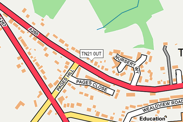 TN21 0UT map - OS OpenMap – Local (Ordnance Survey)