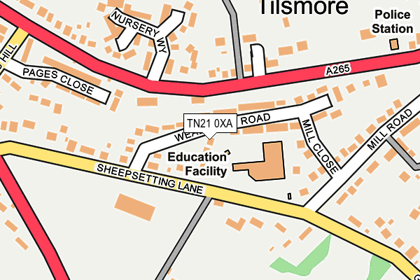 TN21 0XA map - OS OpenMap – Local (Ordnance Survey)