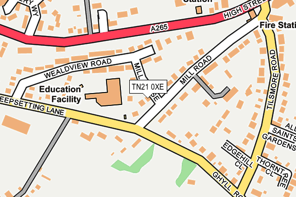 TN21 0XE map - OS OpenMap – Local (Ordnance Survey)