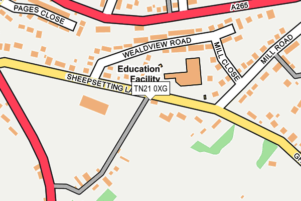 TN21 0XG map - OS OpenMap – Local (Ordnance Survey)