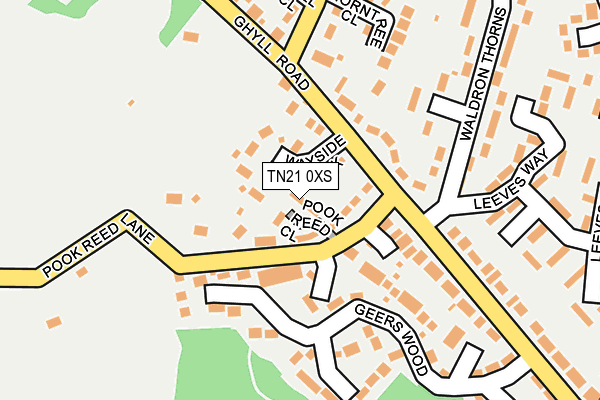 TN21 0XS map - OS OpenMap – Local (Ordnance Survey)