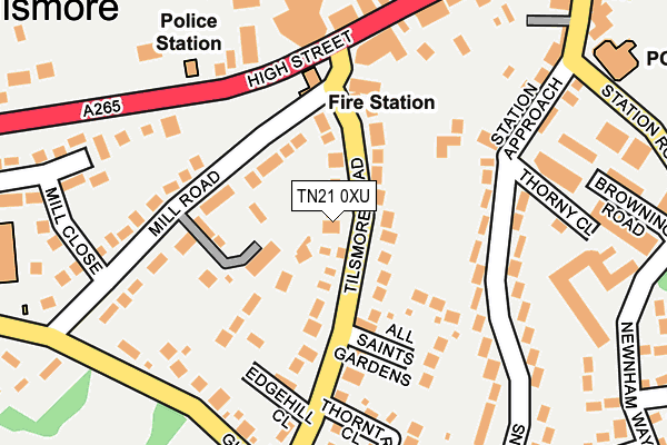 TN21 0XU map - OS OpenMap – Local (Ordnance Survey)