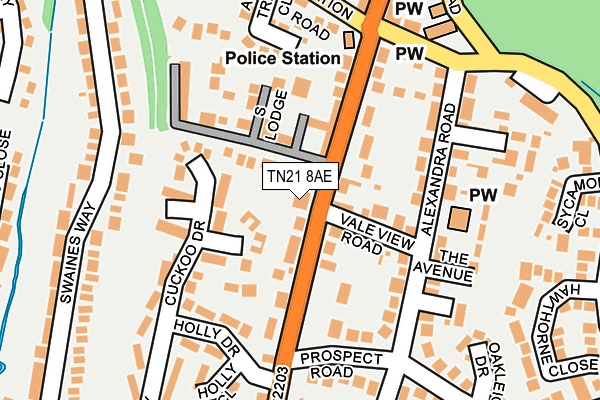 TN21 8AE map - OS OpenMap – Local (Ordnance Survey)