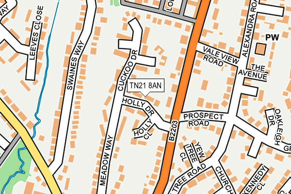 TN21 8AN map - OS OpenMap – Local (Ordnance Survey)