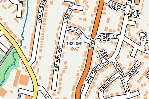 TN21 8AP map - OS OpenMap – Local (Ordnance Survey)