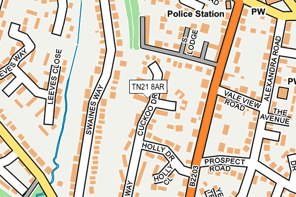 TN21 8AR map - OS OpenMap – Local (Ordnance Survey)