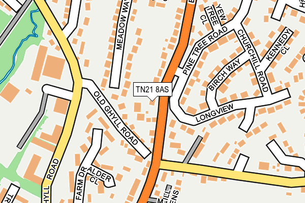 TN21 8AS map - OS OpenMap – Local (Ordnance Survey)