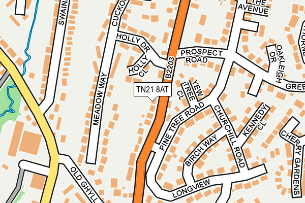 TN21 8AT map - OS OpenMap – Local (Ordnance Survey)