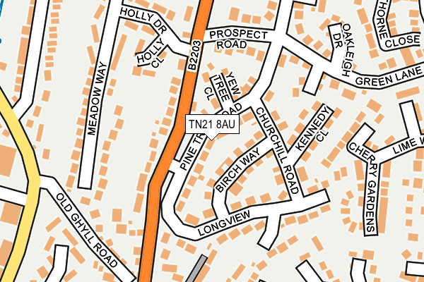 TN21 8AU map - OS OpenMap – Local (Ordnance Survey)