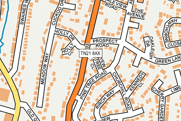 TN21 8AX map - OS OpenMap – Local (Ordnance Survey)