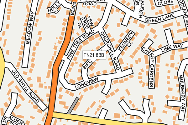 TN21 8BB map - OS OpenMap – Local (Ordnance Survey)